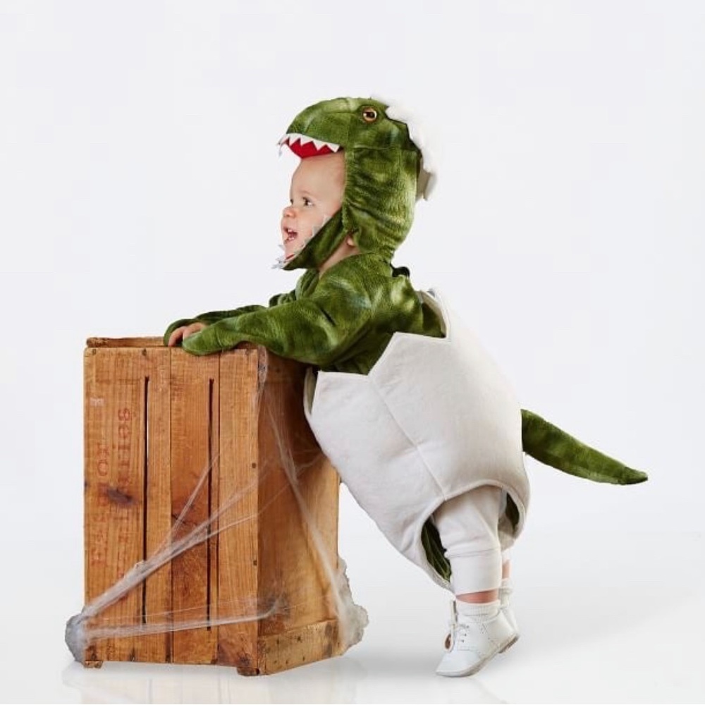 Pottery Barn Kids Green White Dino Egg Baby Costume - Picture 2 of 16